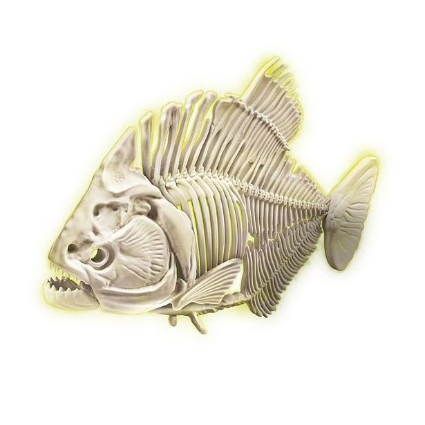 Vykopávky - Piraňa