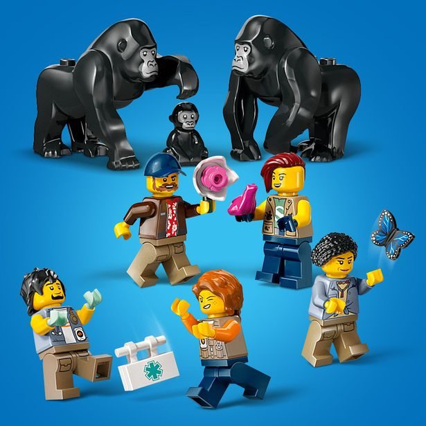 Helikoptéra na průzkum džungle v základním táboře