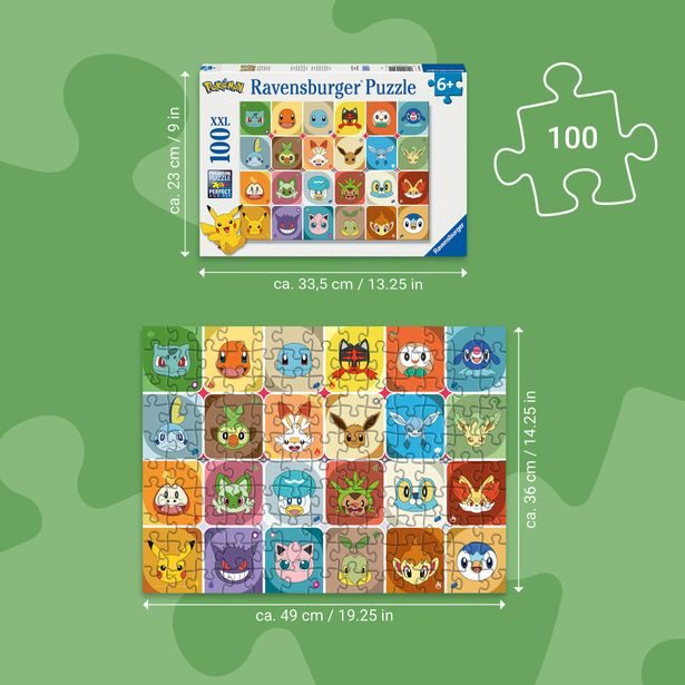 Pokémon 100 dílků