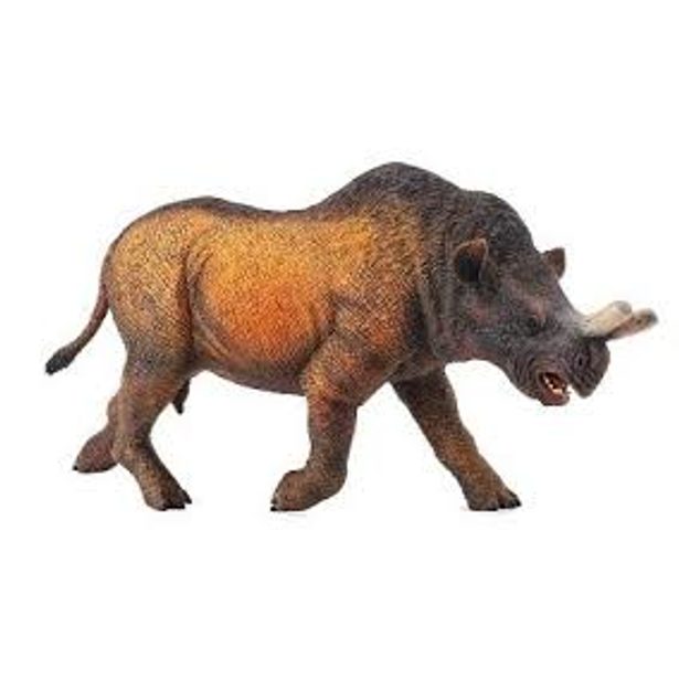 Megacerops