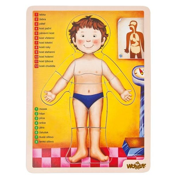 Puzzle - lidské tělo