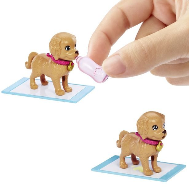 BRB PANENKA S PEJSKY