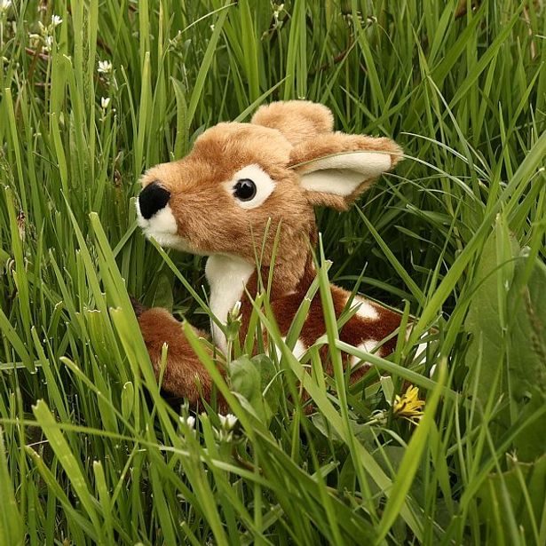 RAPPA Plyšový koloušek ležící 22 cm ECO-FRIENDLY