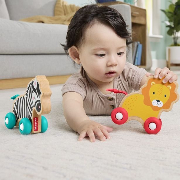 FP DŘEVĚNÁ POSTRKOVACÍ LEV A ZEBRA