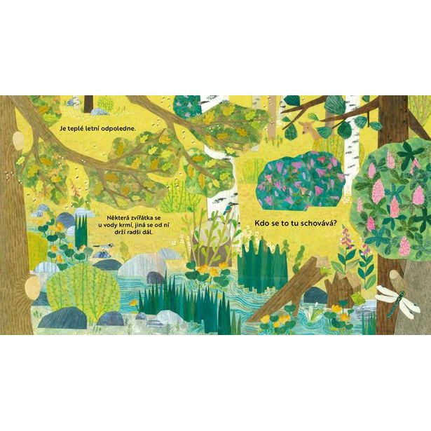 Kdo se to tu schovává? V LESE – Knížka s odklápěcími okénky Baagl