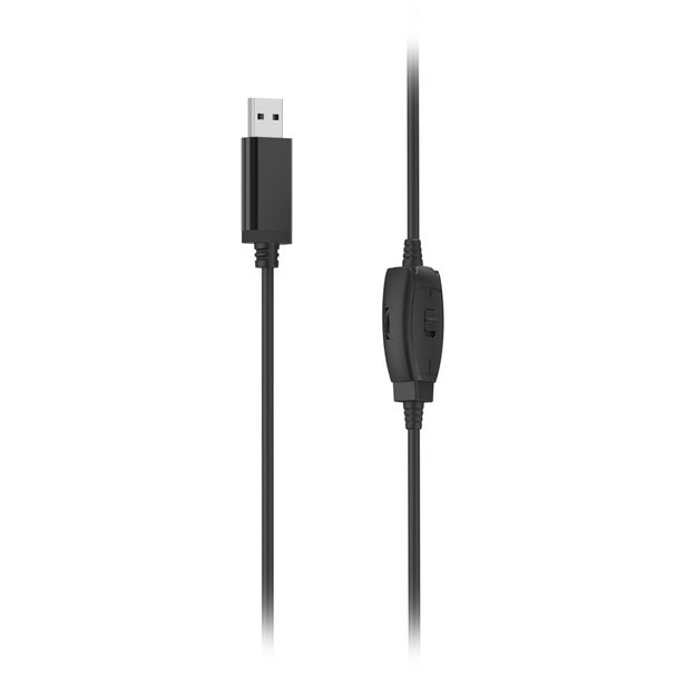 Hama PC Office Headset HS-USB250 V2