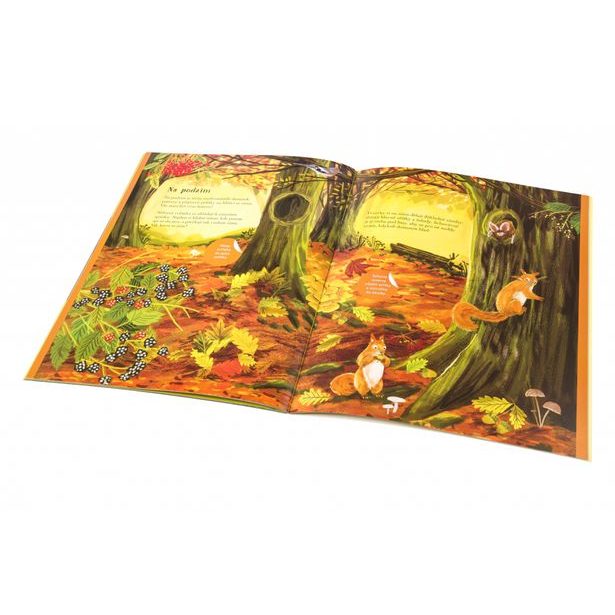 JEŽCI, UŠÁCI a další chlupáči – Kniha samolepek Baagl