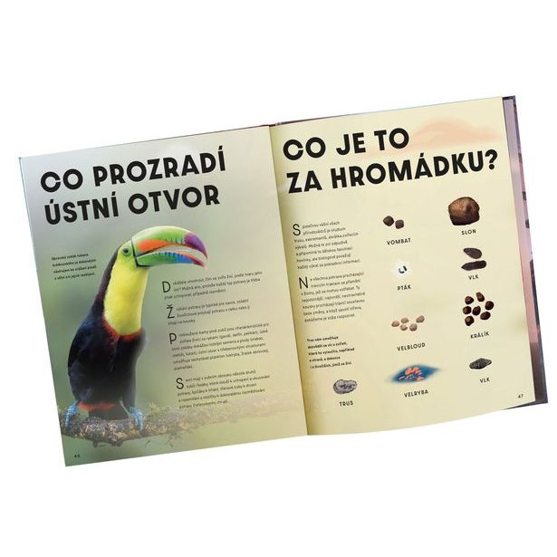 Velký obrazový průvodce ZVÍŘATA