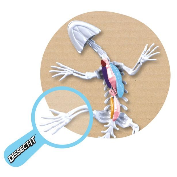 Objevuj Mini Laboratoř, 3 druhy