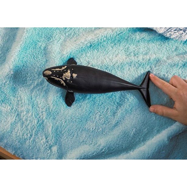 SCHLEICH Zvířátko - Velryba severoatlantická