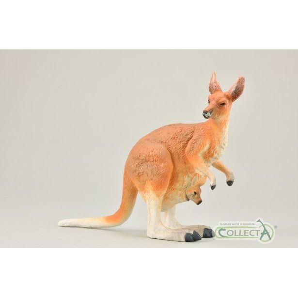 Klokan červený s mládětem