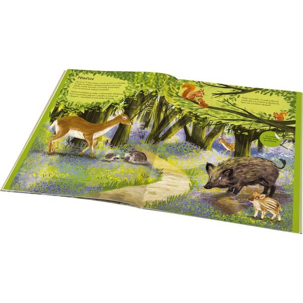 SVET JEŽKOV, UŠIAKOV a ďalších chlpáčov – Kniha samolepiek