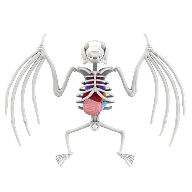 Objevuj Mini Laboratoř, 3 druhy