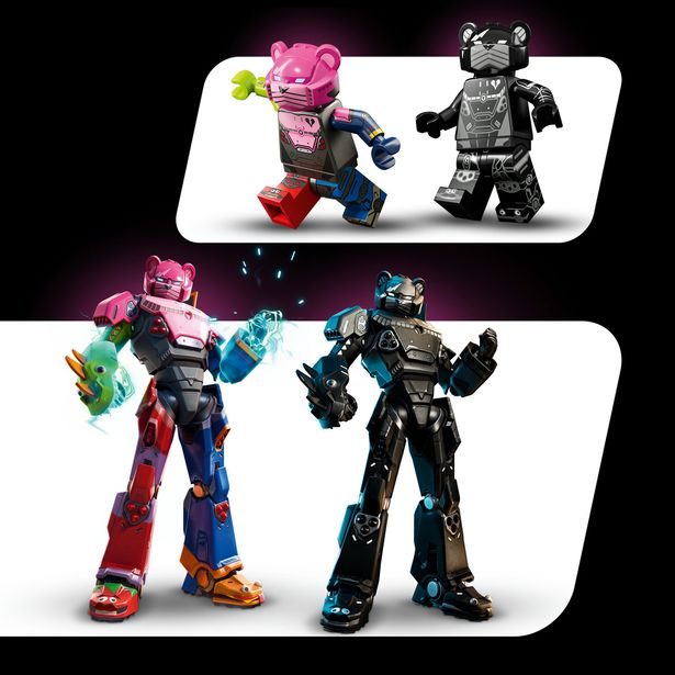 Mecha Team Leader
