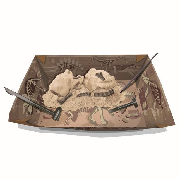 4M Dinosauří kostra - Brachiosaurus