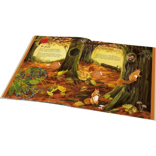 SVET JEŽKOV, UŠIAKOV a ďalších chlpáčov – Kniha samolepiek