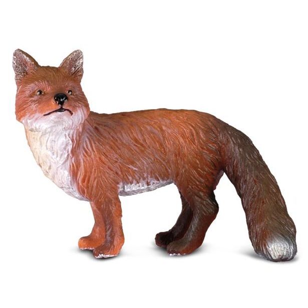 Liška