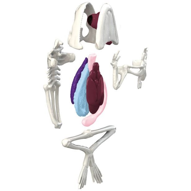 Objevuj Mini Laboratoř, 3 druhy