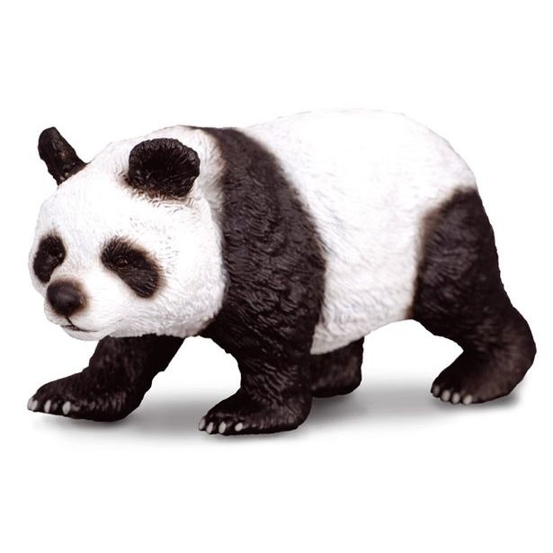 Panda velká