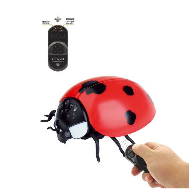 Beruška na dálkové ovládání