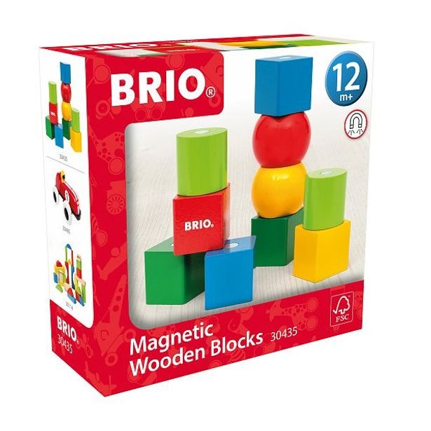 BRIO Magnetické dřevěné kostky