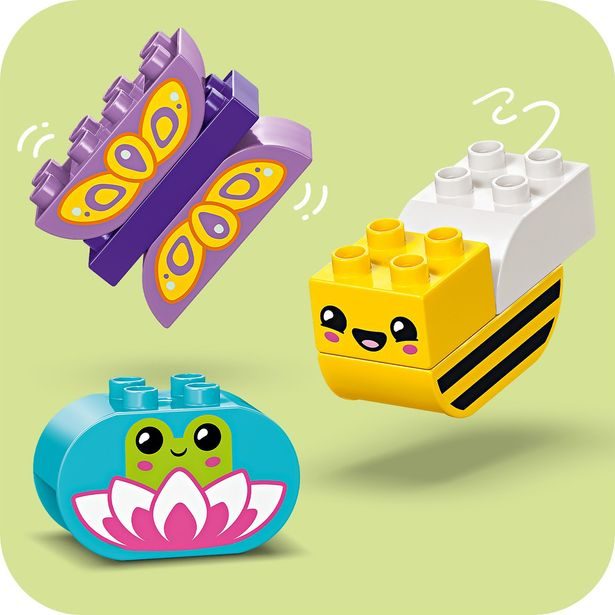 Kreativní zahrada a květiny