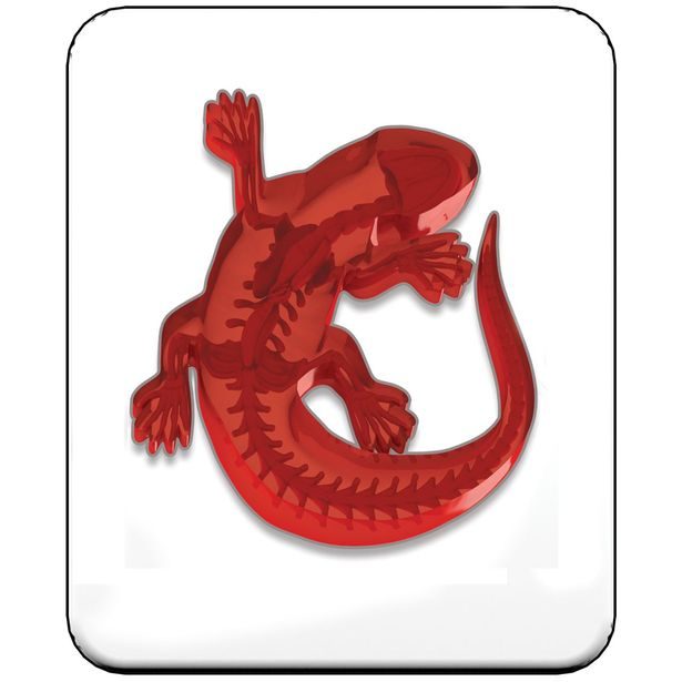 Objevuj Mini Laboratoř, 3 druhy