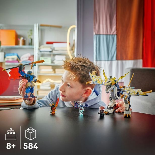 Rogue a robotický dračí jezdec