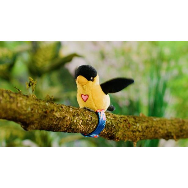 STEPPOS Happy Yappers Žluva