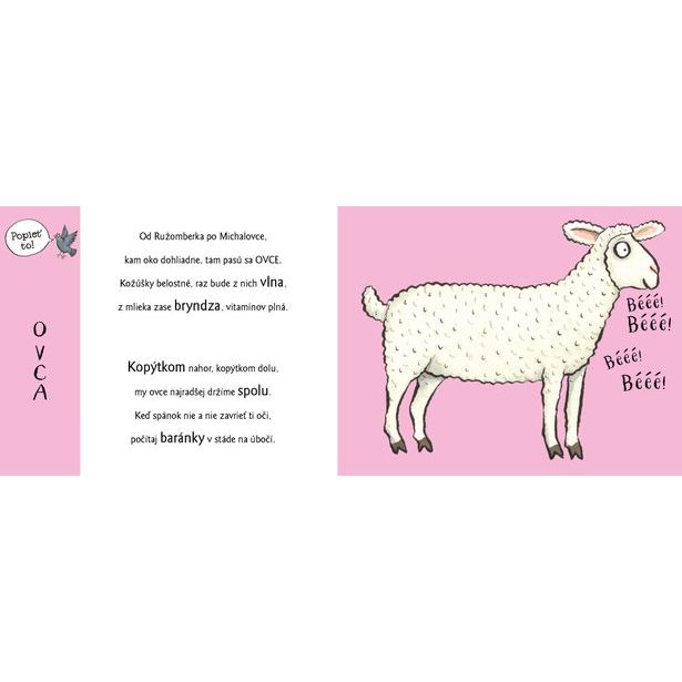 Roztopašné hry NA DVORE so zvieratkami