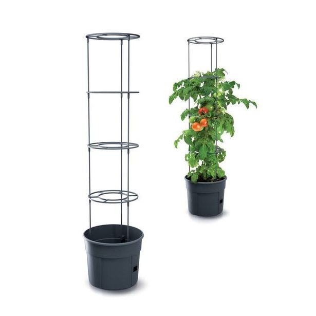 květ. d39,2x31,5cm TOMATO GROWER, na rajčata, antracit