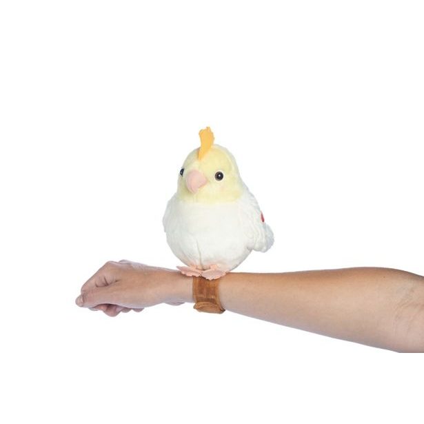 STEPPOS Opakující a zpívající papoušek