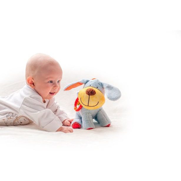 Mazlící pejsek "IPO"