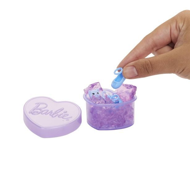 BRB PARTY REVEAL CHELSEA ASST