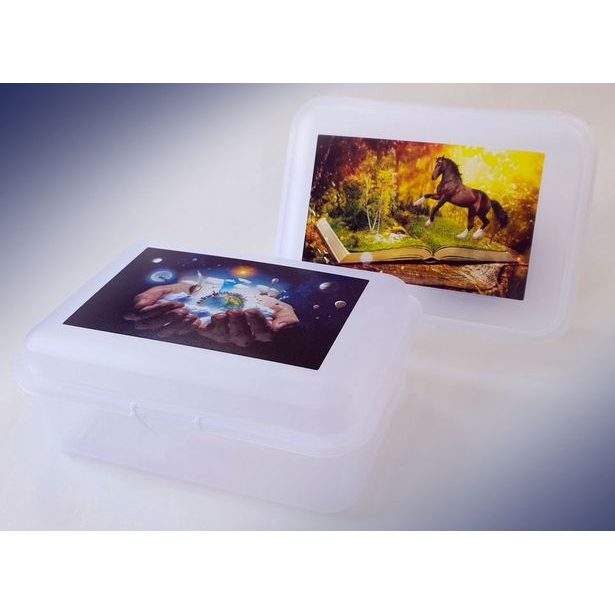 box 1,50l, svačina, SNY dekor, 18x13x7cm, plast