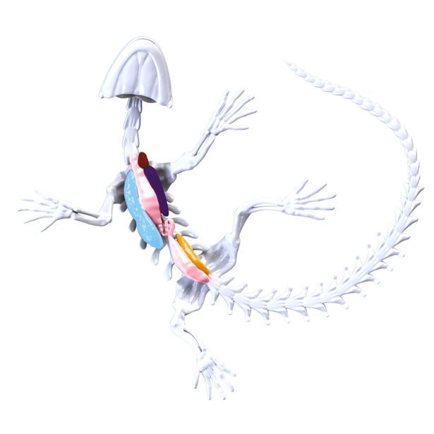 Objevuj Mini Laboratoř, 3 druhy