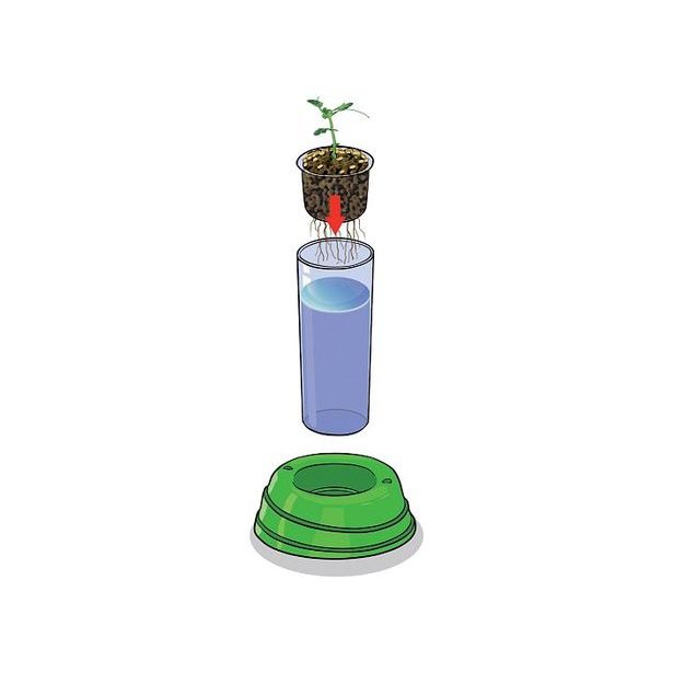 CLEMENTONI SCIENCE - Hydroponická botanika