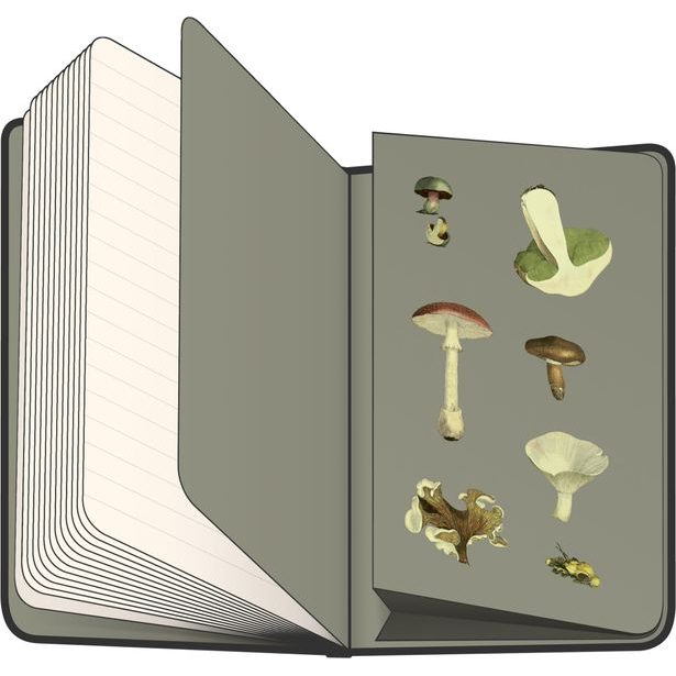 Notes Houby Kateřiny Winterové, linkovaný, 13 × 21 cm Baagl