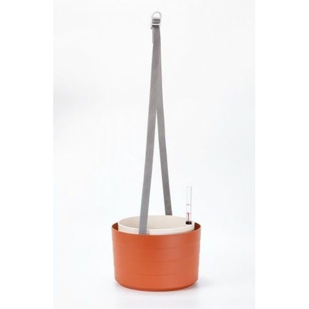 žardina d26cm TER/slon.kost BERBERIS, závěsná