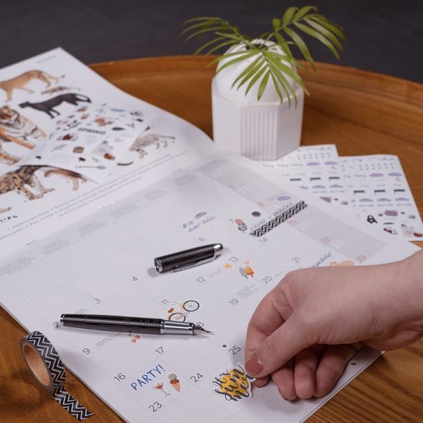 Samolepky NOTIQUE – 8 archů, 10 x 15 cm