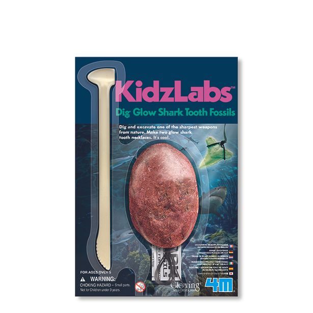 Kostra - žralok fosforeskující