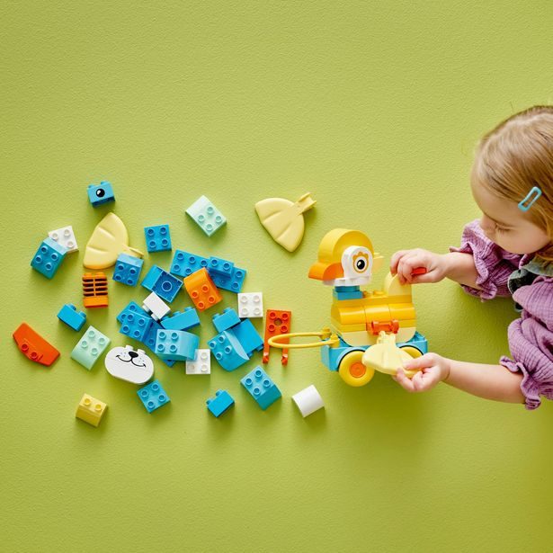 3 v 1: Zvířátka na kolečkách