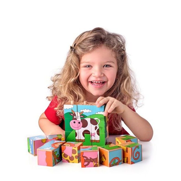 Kubus navlékací - domácí zvířata