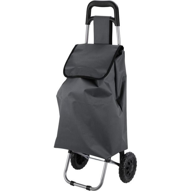 EXCELLENT HOUSEWARE Nákupní taška na kolečkách 33 l šedá KO-CM6000030seda