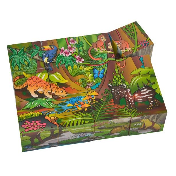 Dřevěné obrázkové kostky