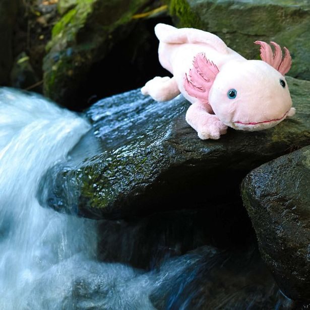 RAPPA Plyšový axolotl 33 cm ECO-FRIENDLY