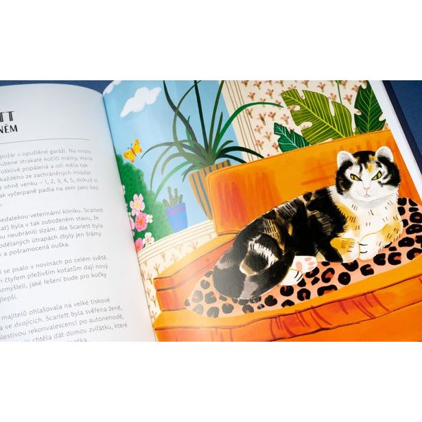 KOČKY V AKCI! – Neuvěřitelné kočičí příběhy Baagl