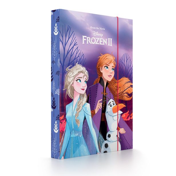 Box na sešity A4 Frozen