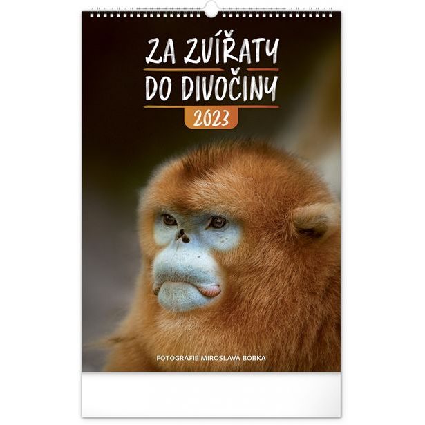 Nástěnný kalendář Za zvířaty do divočiny 2023, 33 × 46 cm Baagl