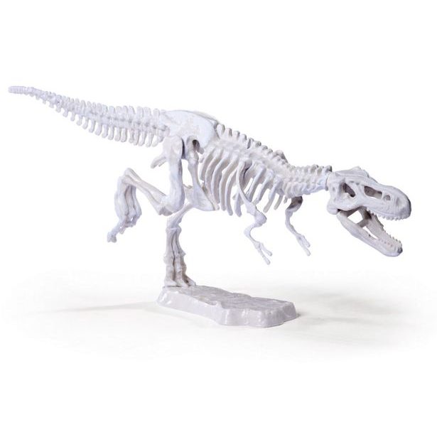 Sada na vykopávání dinosaura, 3 druhy